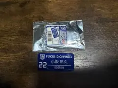 福井ブローウィンズ　アクリルネームバッジ　#22