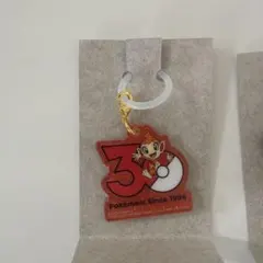 ポケモン 30周年ロゴマスコット ポケチャーム ヒコザル