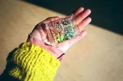 2026年最新】カネコアヤノ オルゴールの人気アイテム - メルカリ