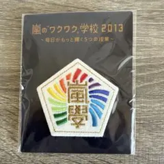 嵐 ARASHI 嵐のワクワク学校　校章刺繍ワッペンブローチ