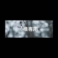 ☺︎様専用