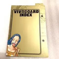 ONE PIECE図鑑　ビブルカード　インデックス　ビビ　ワンピース