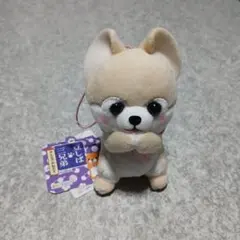 豆柴三兄弟みんなでおねだり　ぬいぐるみマスコット
