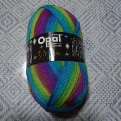 Opal サプライズ　マルチカラー毛糸