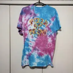 【リメイク】Mサイズ WANIMA ピザロゴ 水色ピンク タイダイ 半袖Tシャツ