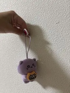 チェゴシム　　スシロー