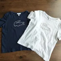 ラコステ　キッズＴシャツ2枚セット116cm