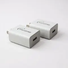 【新品】YELUPAG ACアダプター 2個セット