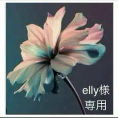 elly様　専用