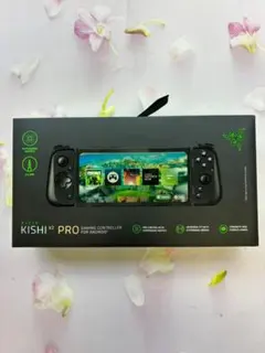 Item thumbnail for item 64648528-95d9-456f-a828-0e5d696adf51