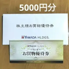 ヤマダ電機 お買物優待券 500円✕10枚 5000円分