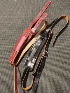 Item thumbnail for item f87b607a-2e8b-4f6a-a2c7-75b783dc82cf