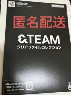 &TEAM クリアファイルコレクション　ニコラス