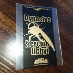 Item thumbnail for item f7ad8c70-96c1-49bf-bb46-2acd5f5e5c93