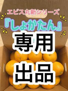 maron(マロン☆)様専用