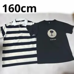 160cm 男の子 モンベル 半袖Tシャツ まとめ売り 2枚セット クマ