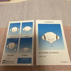 산리오 キャラクター 証明写真風スマロイド こぎみゅん