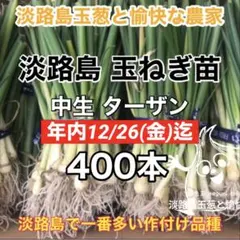 2025年最新】苗 玉ねぎの人気アイテム - メルカリ