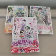 婚約者の浮気現場を見ちゃったので始まりの鐘が鳴りました　1〜3巻　コミック
