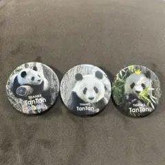神戸王子動物園 タンタン 旦旦 パンダ 缶バッジ 2種セット - メルカリ