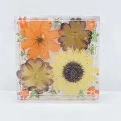NO.221固まるハーバリウム食品接触OK○お花のスクエアトレイ/四角い