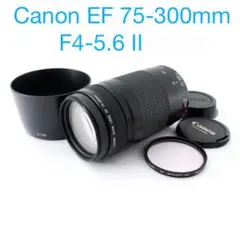 ☆スポーツ/イベント☆超望遠レンズ☆CANON EF 75-300mm☆ - メルカリ