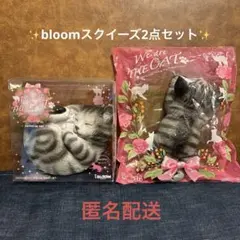 bloom ブルーム スクイーズ まとめ売り