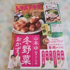 レタスクラブ 2016年 冬野菜のレシピ