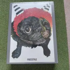 未使用未開封】FREESTYLE 嵐・大野智画 ジグソーパズル1000ピース