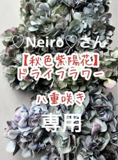 ♡Neiro♡さんご確認用 白紫陽花ドライフラワー(ライムグリーン)㊺