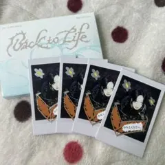 &TEAM Back to Life フォトカードボックス フウマ