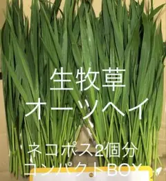 ◽︎reirei◽︎様 リクエスト 2点 まとめ商品