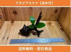 basatu様 リクエスト 2点 まとめ商品