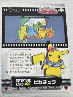 ポケモンカード ピカチュウ アドベンチャーカード 029 ずかんカード