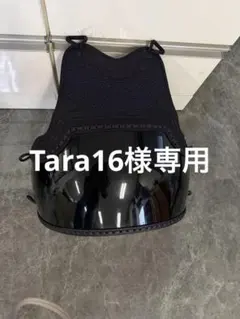 Item thumbnail for item 193c34b1-691f-4583-89e1-36232646dc93