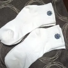 GEMMOVE FIT ENERGY SOCKS PREMIUM　白×2足