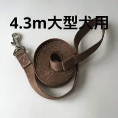 Item thumbnail for item 782a6215-e5ef-4bfc-8fe9-a5b590ad329d