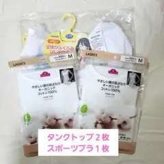 Item thumbnail for item b0a8b6ab-bced-4c8f-8869-bba8c768ae21