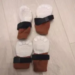 Item thumbnail for item 67b3e086-21f3-407a-a34c-cb8902f5816e