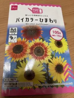 バイカラーひまわり、ニンジン、サニーレタスの購入種お裾分け品