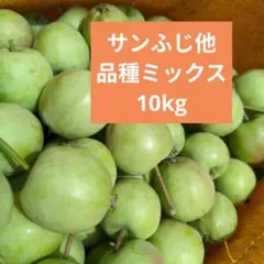 摘果林檎　サンふじりんご　加工用　10kg 送料込み 37のサムネイル