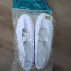 Item thumbnail for item d5b3fd73-e331-48e0-ae32-2e3ffbdc3346