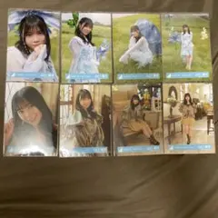 山口陽世 日向坂46 イチャイチャ虫 秘蔵生写真 12種コンプ 山口陽世 日向坂46 イチャイチャ虫 秘蔵生写真 12種コンプ - メルカリ