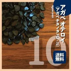 M★A様 リクエスト 2点 まとめ商品