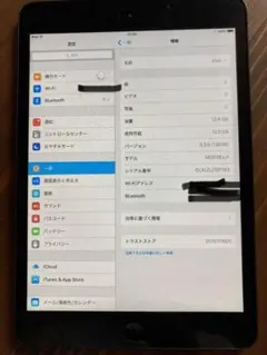 APPLE iPad mini IPAD MINI WI-FI 16GB BL…