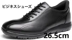 Item thumbnail for item 96c96712-baaa-46e9-9aa5-fe8a9d52b061