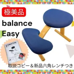 【最安値】極美品 サカモトハウス バランスイージー 新品六角レンチ