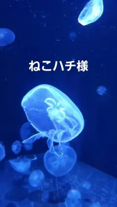 おすそ分け蛇腹ファイル　コラージュファイル　ファイルのみ　★クリスマス★