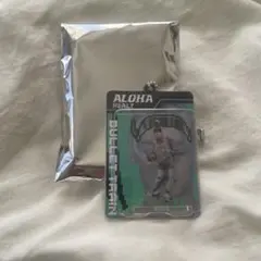 超特急アロハREAL？Random Blister Keyholder