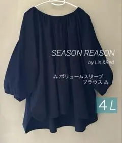新品 ボリュームスリーブブラウス ４L SEASON REASON